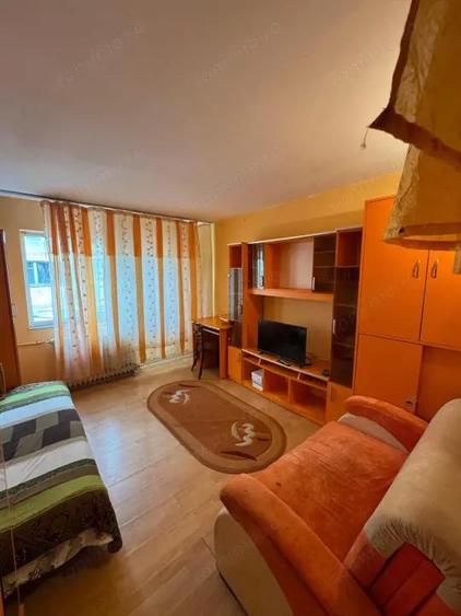 Camera de camin,Lapus,zona linistita - 2