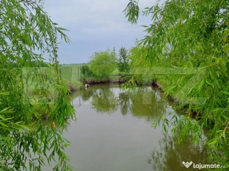 Casa cu teren generos ?i balta de pescuit Gae?ti - 8