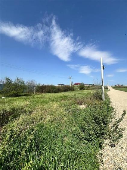 RECO teren intravilan 2000 mp in Nojorid - 2