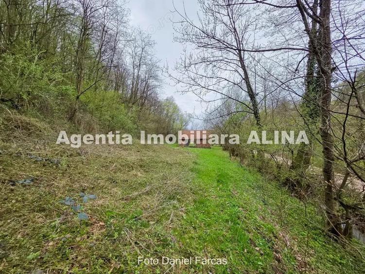 Teren intravilan 1.700 mp + 6.600 mp Padure de foioase + 1.200 mp Padure de foioase, Sat Nojag. - 11