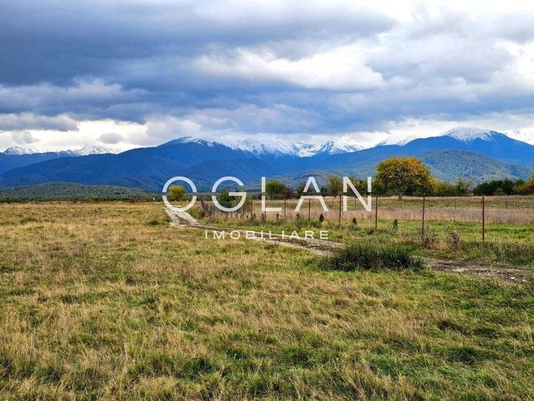 SUPER OFERTA! Teren  1000 mp, Vl. Avrigului SIBIU - 3