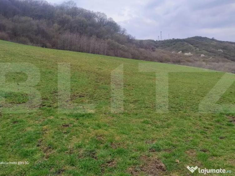 Teren superb 2.500 mp in Nicula lini?te, natura ?i p - 2