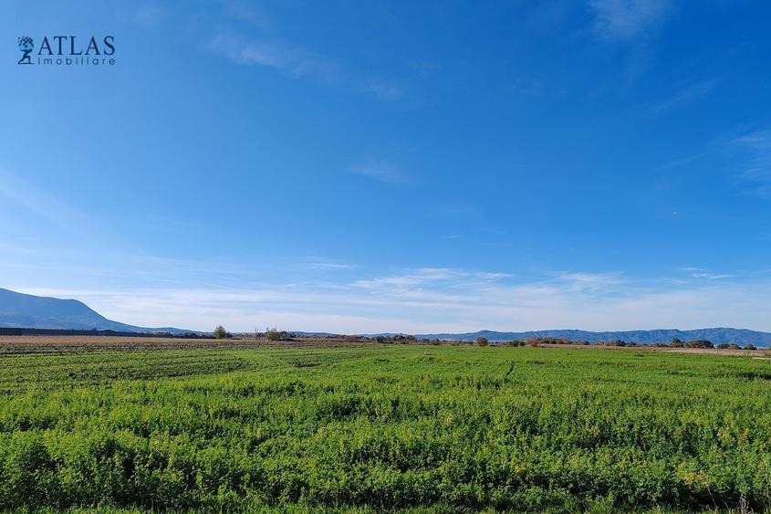 Teren ideal dezvoltare rezidențială, 8.121 mp, PUZ aprobat, utilități, Stupini - 3