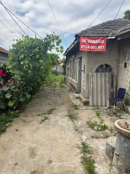 Casa de vanzare Cernica - 5