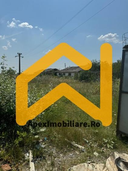 Hale Industriale de Vânzare Baicoi – 1100 mp + 800 mp, teren 5500 mp - 7