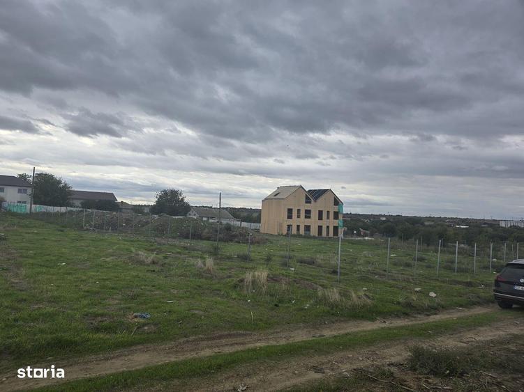 Teren de vanzare in Palazu Mare - 5