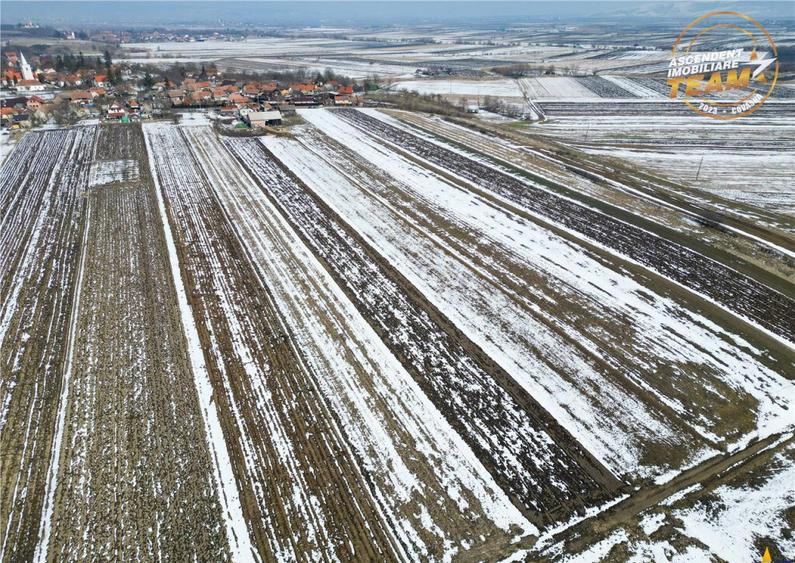 Suprafata intravilan 6.425 mp, oportunitate platforme rezide - 5