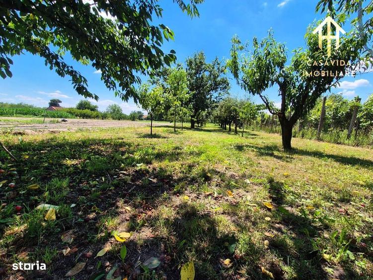 Casă cu 4 camere în Ohaba-Forgaci