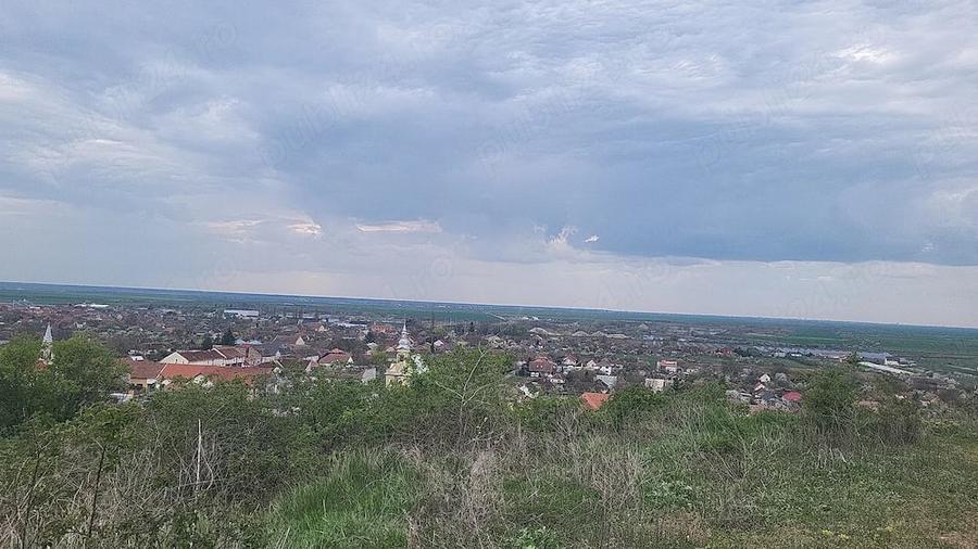 Teren de 3600 mp, în Ghioroc
