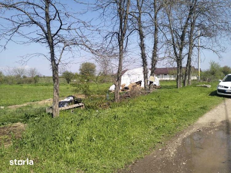 Teren de 2000 mp, în Coșoveni