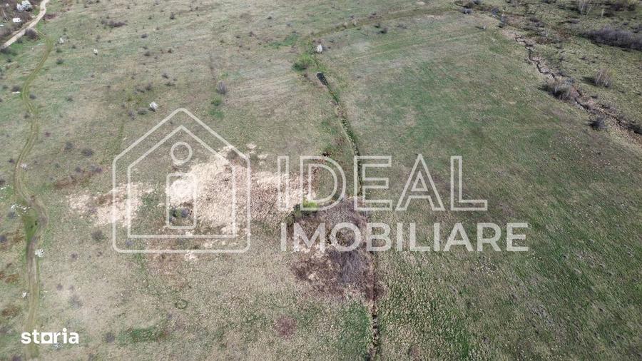 Teren 25.500 mp Valea Avrigului - 4