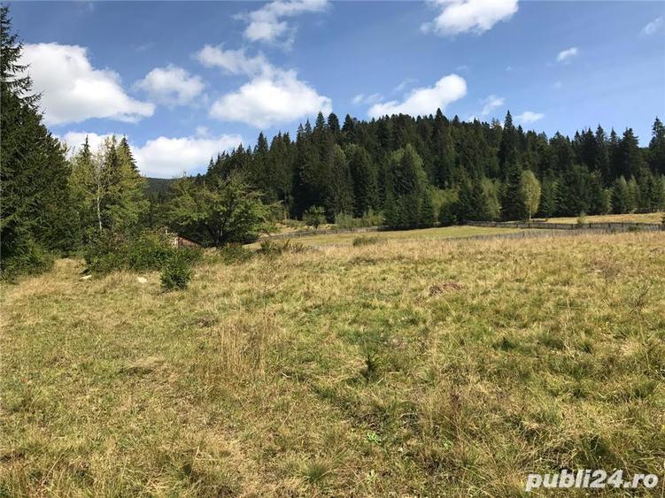 Vand casa +teren+padure - 2