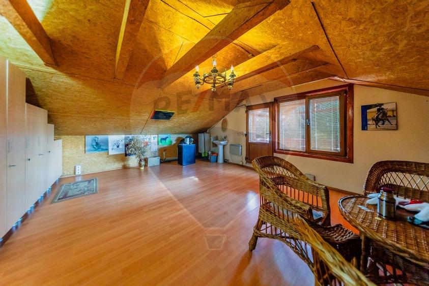 Ferma de cai andaluzi de vanzare - Zadareni - 20