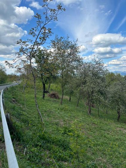 Teren intravilan - 2