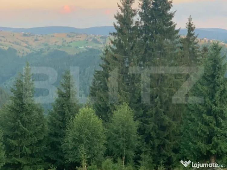 Teren intravilan, front la strada, 3321mp, utilitati, Marise - 1