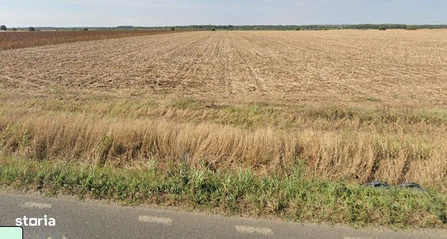 Cel mai bun pret! 1.5 ha, lot teren localitatea Nuci, Ilfov - 1