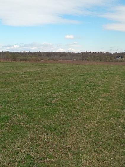 Teren de vinzare vicovu de sus 350 euro - 8