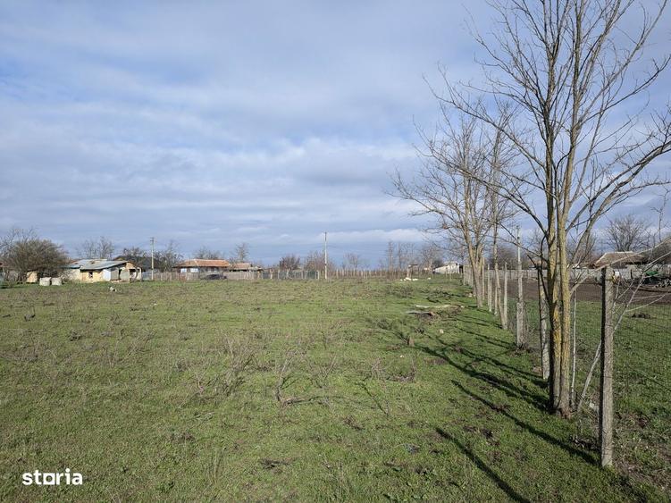 Vand teren 4194 mp - 3