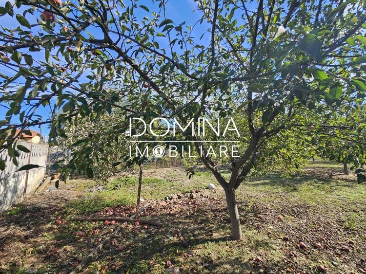 Vanzare teren *intravilan 308 mp cu utilitati* - Sat Ceauru, Comuna Balesti - 4