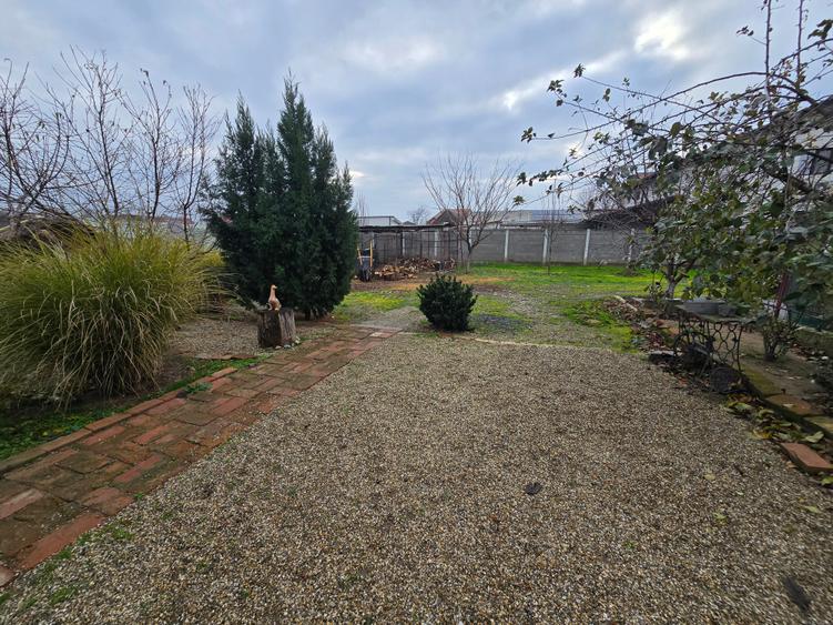 Mosnita Veche- Vila 2 apartamente- Teren 1100 mp - 8