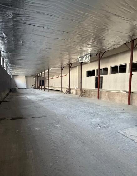 Hala Interioara 3 - 1100 mp - 1