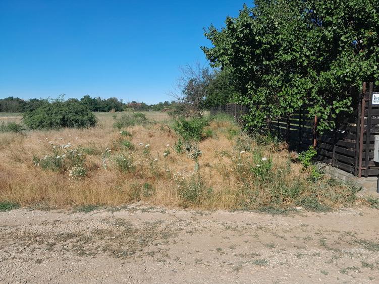 TEREN  INTRVILAN DRAGOMIRESTI - 9