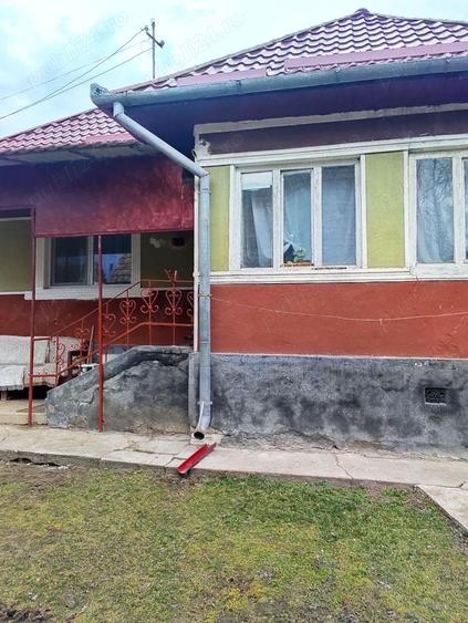 Vand casa cu gradina - 5