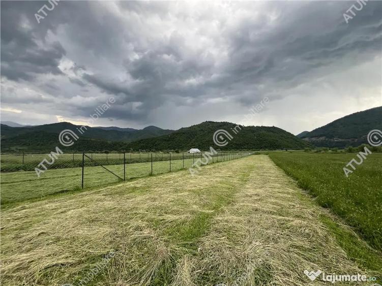 Teren intravilan de 3477 mp cu deschidere de 35 m in Boita - 5