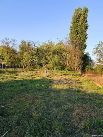 Se vinde in ?ibot - 4