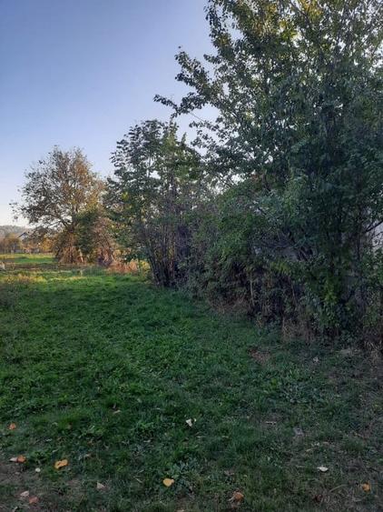 Teren Intravilan, 1500 m2, plat, zona rezidentiala, Campina, Prahova - 1