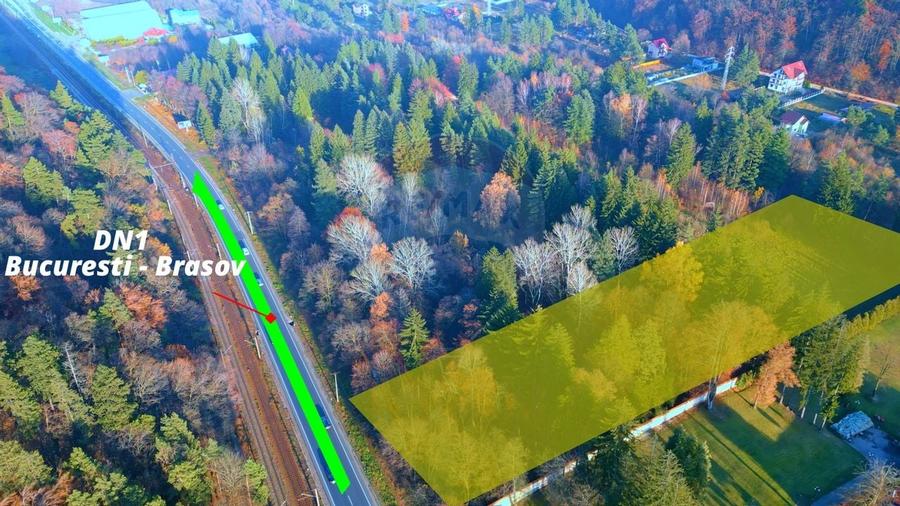 Teren constructii 10,000mp Timisul de Jos , PARCELABIL min 250 mp - 1