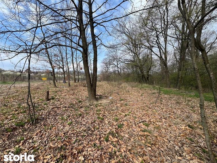 RECO Teren Saldabagiu de Munte - 2