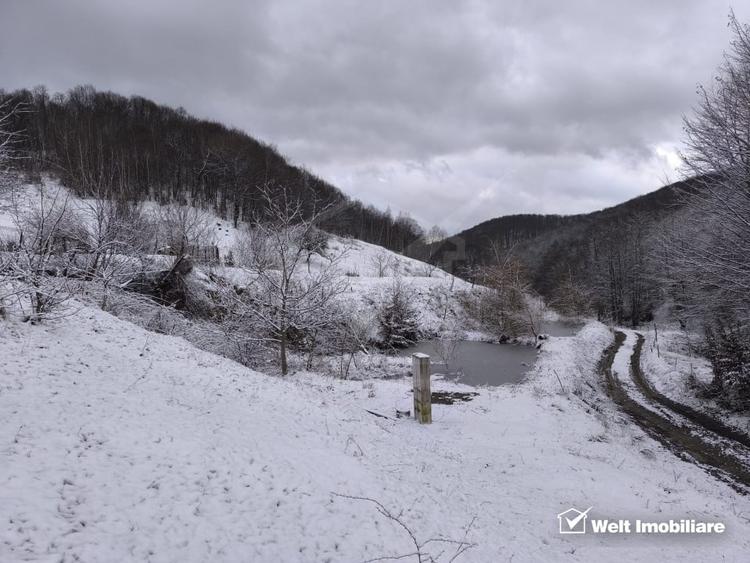 Casa de vacanta, cu lac, 5640 mp teren, Huta, com. Chiuiesti, jud. Cluj - 52