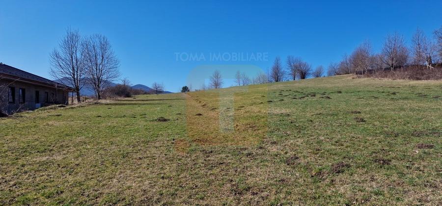 Teren intravilan de 4.000 mp în Bistrița – Alexandru cel Bun - 24