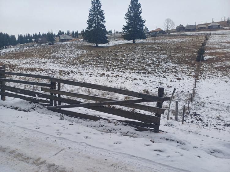 Vand teren intravilan muntele rece - 1