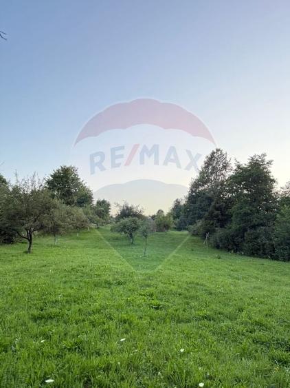 Teren în cea mai turistica localitate din Romania - Breb / Maramureș - 3