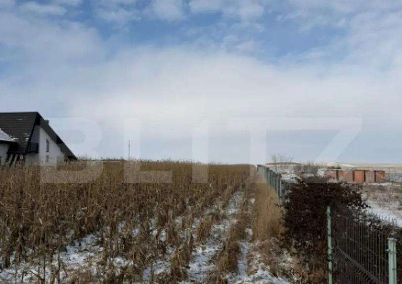 Teren extravilan, 33.6 ari, zona Frumoasa - Scheia. - 3