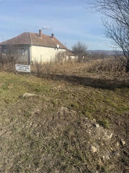 Teren de 5800 mp, în Central