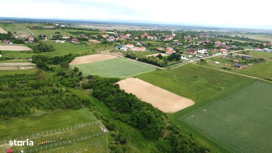 Teren intravilan 2.935 mp in Viile Satu Mare | Aproape de padure - 1