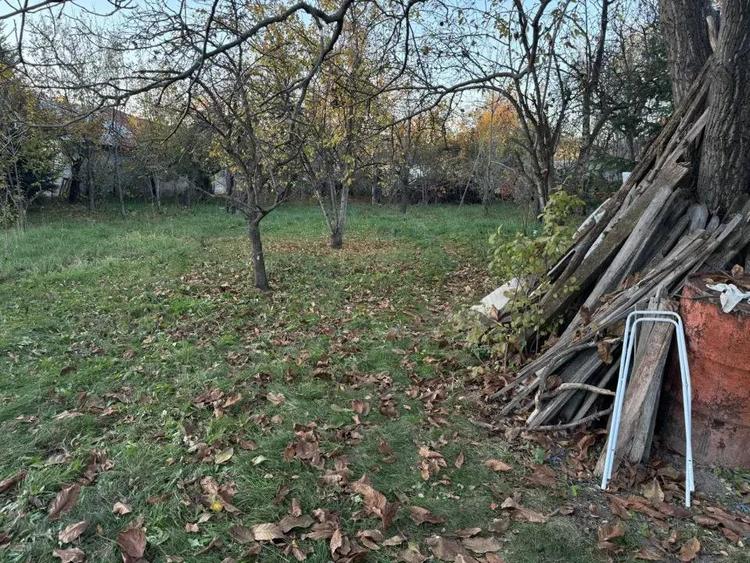 Casa solida de vanzare in Bordenii Mari - 13