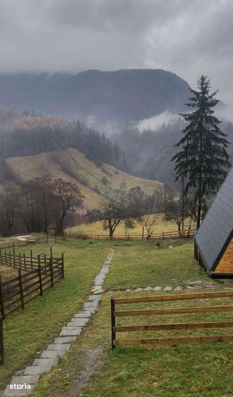 INVESTITIE - banii inapoi in 5 ani /Cabana A frame/Gaz.Apa.Canal/400m2 - 12