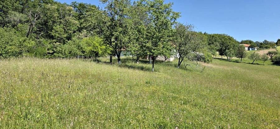 Casa de vanzare si teren de 24000 mp in Fasca, langa padure, 45 km de Oradea - 9