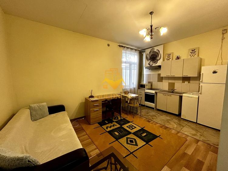 1 camera open space, 2 parcari, curte proprie, FSEGA, Iulius Mall - 2