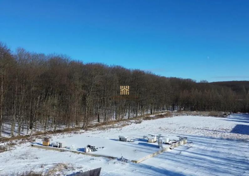 Teren Intravilan langa Padure 10.000 mp 1 hectar Suceava - 4