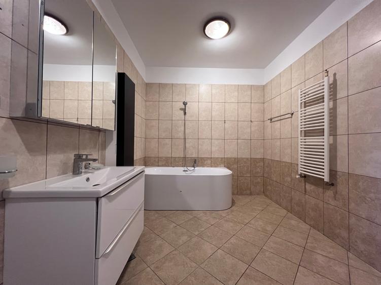 Inchiriere Vila individuala Iancu Nicolae - 38