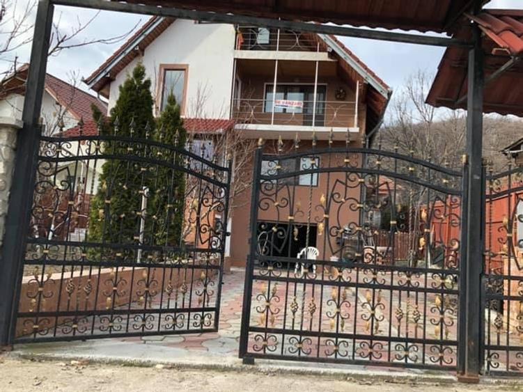 Casa de vanzare Baile Govora oportunitate investitie - 1