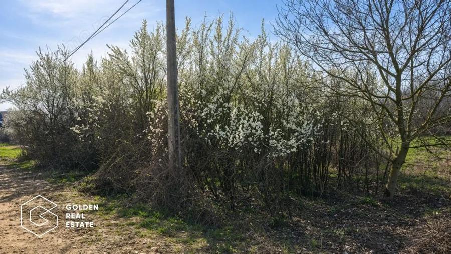 Teren intravilan, 1080 mp, Lipova - 3