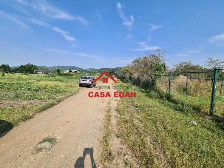 Teren intravilan in Campina, 7500mp--35e - 1