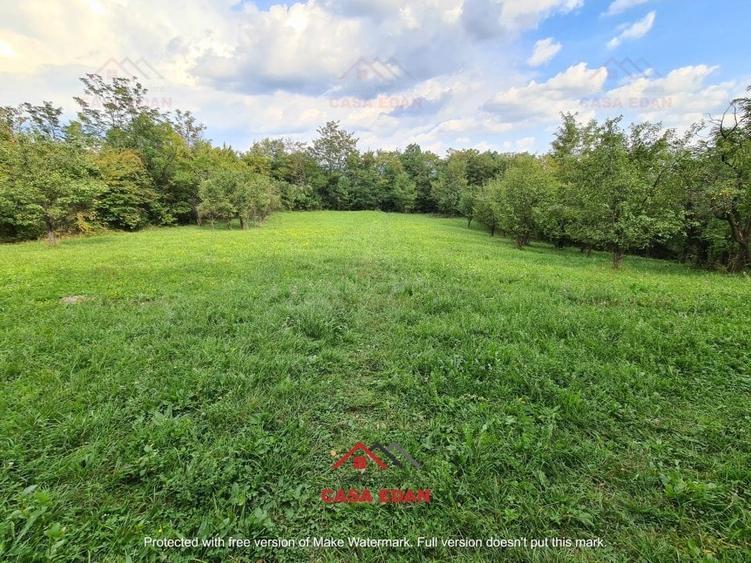 ●Teren intravilan in Poiana Campina,zona retrasa,3287 mp,10e● - 4