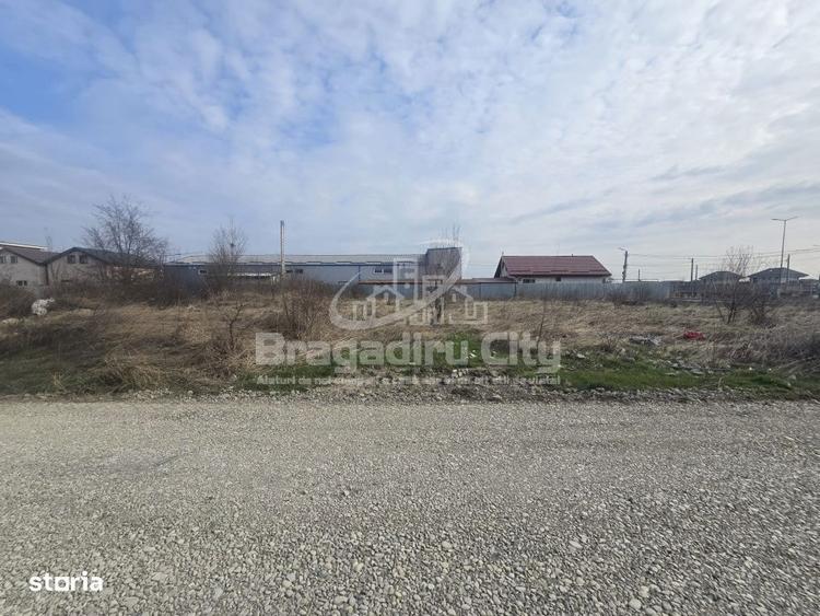 Teren str Topaz 1000mp - 2